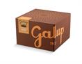 PANETTONE GALUP MARRONS GLACES KG 1