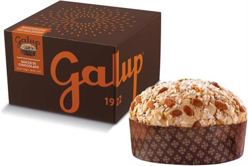 PANETTONE GALUP CON GOCCE DI CIOCCOLATO GR 750