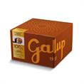 PANETTONE GALUP FARCITO AL GAINDUIA STREGLIO KG 1