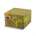 PANETTONE GALUP AL MOSCATO MONCUCCO KG 1