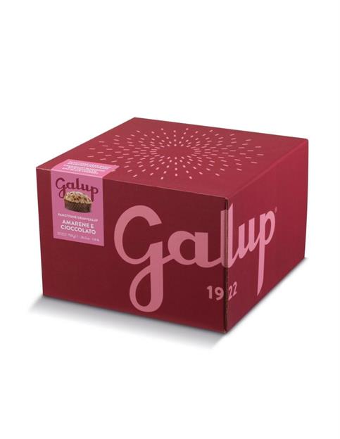 PANETTONE GALUP AMARENE E CIOCCOLATO IN SCATOLA GR 750