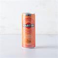 MARTINI FIERO TONIC CL 25 LATTINA