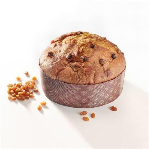 PANETTONE SAL DE RISO IL CLASSICO KG 1