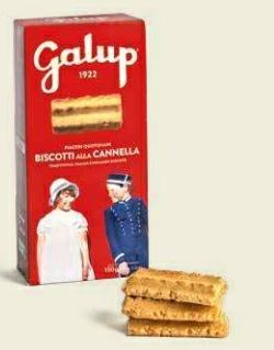 BISCOTTI GALUP ALLA CANNELLA GR 150