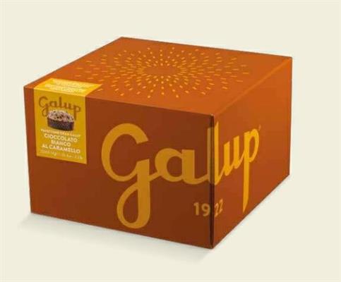 PANETTONE GALUP GOCCE CIOCCOLATO E CARAMELLO IN SCATOLA KG 1