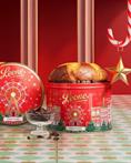 PANETTONE LEONE AL CIOCCOLATO IN LATTA GR 750